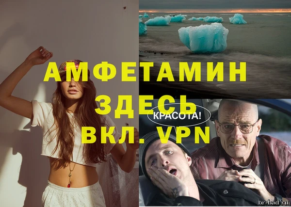 мяу мяу мука Баксан