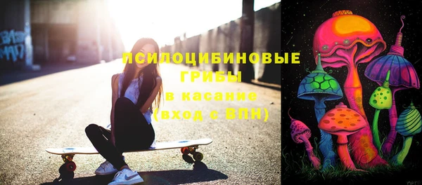 дмт Армянск