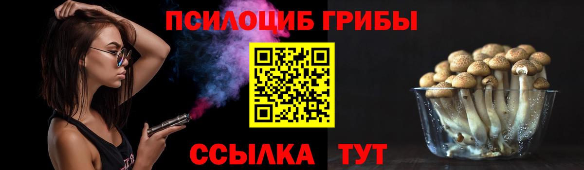 Кировск  Галлюциногенные грибы мицелий  Псилоцибиновые грибы мицелий  Вход с VPN 